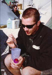 dtodd samples oatmeal