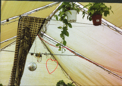 shack roof