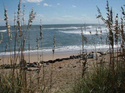 seashore