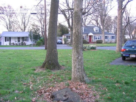 north_side_two