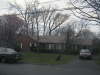 housefront_cherryblooms