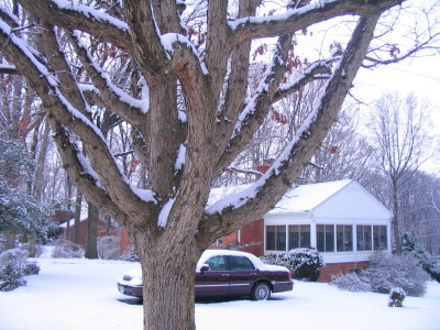 front_oak