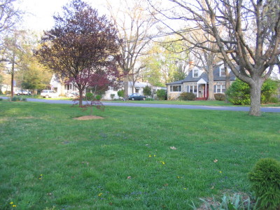 front_yard_facing_southeast