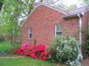 azalea_reds_and_spirea_starting_to_bloom