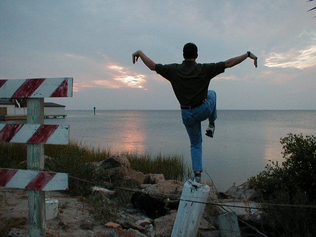 south_padre_mattbird