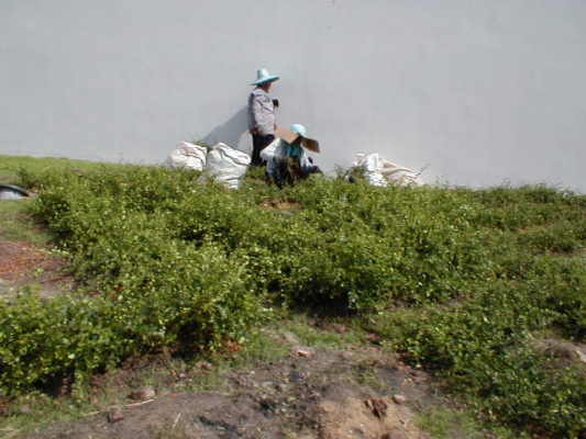 P5230056