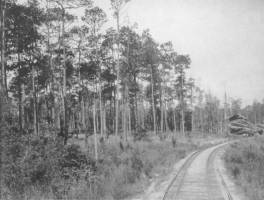 MJ&KC through the Pine Belt